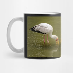 Yellow Billed Storks Mug